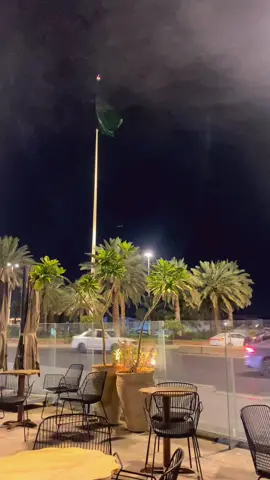 #المدينة_المنورة 