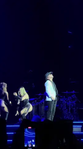 Pitbull Kraków 
