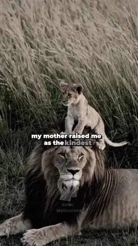 My mother raised me.. but lookout #Motivationalspeechs #motivationalclips #lionmindset #motivatedaily #inspirationalstory #dailymotivations #inspirations #motivationalstory #motivationaltiktok 