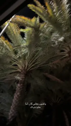 ياطيب حظي ❣️ #محمد_عبده #4u #explorer #2025 