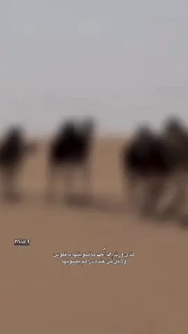 هذي #ورث جدانكك🐪👏🏻.#اكسبلور 