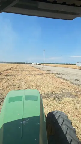#🤣🤣🤣🤣 #farmero #dospalos #centrovallero #centrovallero #ffyypp #ffyypp #chowchilla #4urpage #209 #farmlife #norcal #4urp 