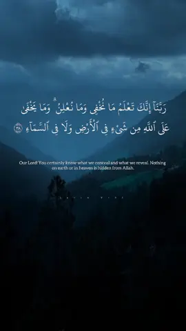#سوره_ابراهيم #عبدالله_الموسى #quran_alkarim #quran_v123 #اجر #رتل_القرآن #ايه_من_القران💚 #quran 