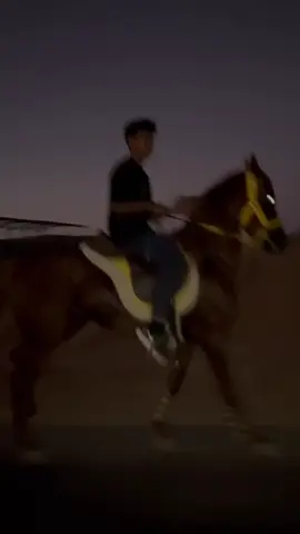 شهاب الله يبارك شاش مع المغرب ومع تعزيز العيال 😂 😂#مشاءالله_تبارك_الله_اذكروالله 