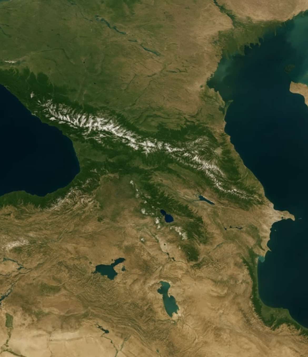 Caucasus Hunter Gatherer 👨🏻‍🌾 + Early Iranian/Anatolian Farmer 👩🏻‍🌾 = Caucasus Populations #caucasus #maykop #indoeuropean #caucasian #armenia #georgia #ethnic #phenotype #dna #History #iranian #fyp