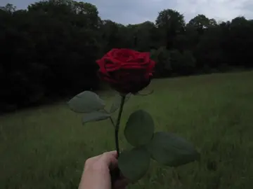 for you <3