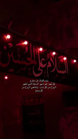 #لايك_متابعه_اكسبلور #فولووو #شيعه_الامام_علي_عليه_السلام #كربلاء #الامام_الحسين_عليه_السلام #العراق🇮🇶❤️ #محرم_عاشوراء #اهل_البيت_عليهم_سلام #مسجد_المشرف_جد_حفص #فولووووو 
