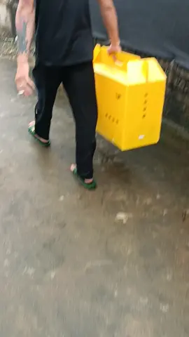 cả đội quá mạnh 