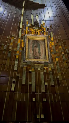 the most beautiful thing i’ve got to experience.⛪️💕🇲🇽 #basilicadeguadalupe #cdmx #catholic #protectimmigrants #mexico #fyp #beauty #virgencita 