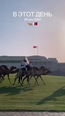 #ВэтотДень #qatar 