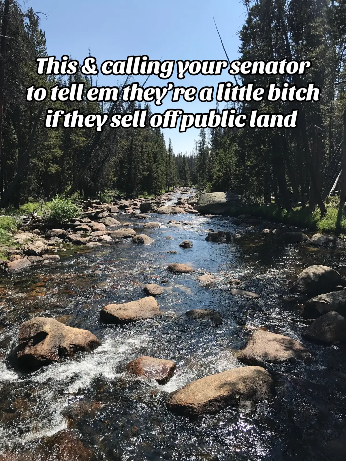 They’re selling off our public lands like clearance rack junk but this land holds our memories, our freedom, our future. Furious? Good. Pick up the phone and tell your senators. Loudly. Relentlessly. Before there’s nothing left to fight for. 🌲🔥 #NotForSale #ProtectPublicLands #CallThemOut #wyoming 