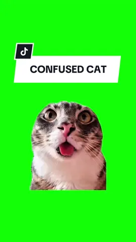 #CapCut CONFUSED CAT #greenscreen #greenscreenvideo #greenscreenoverlays #fyp #fyppage #fypシ❤️💞❤️ #meme #memes #memestagram #freefirememe #memepage #viral #viralvideos #viralreels #viralvideo #viralpost  #cat #cats #catsofinstagram #catlover #catmemes #catmeme #trend #trending #confusedcat 