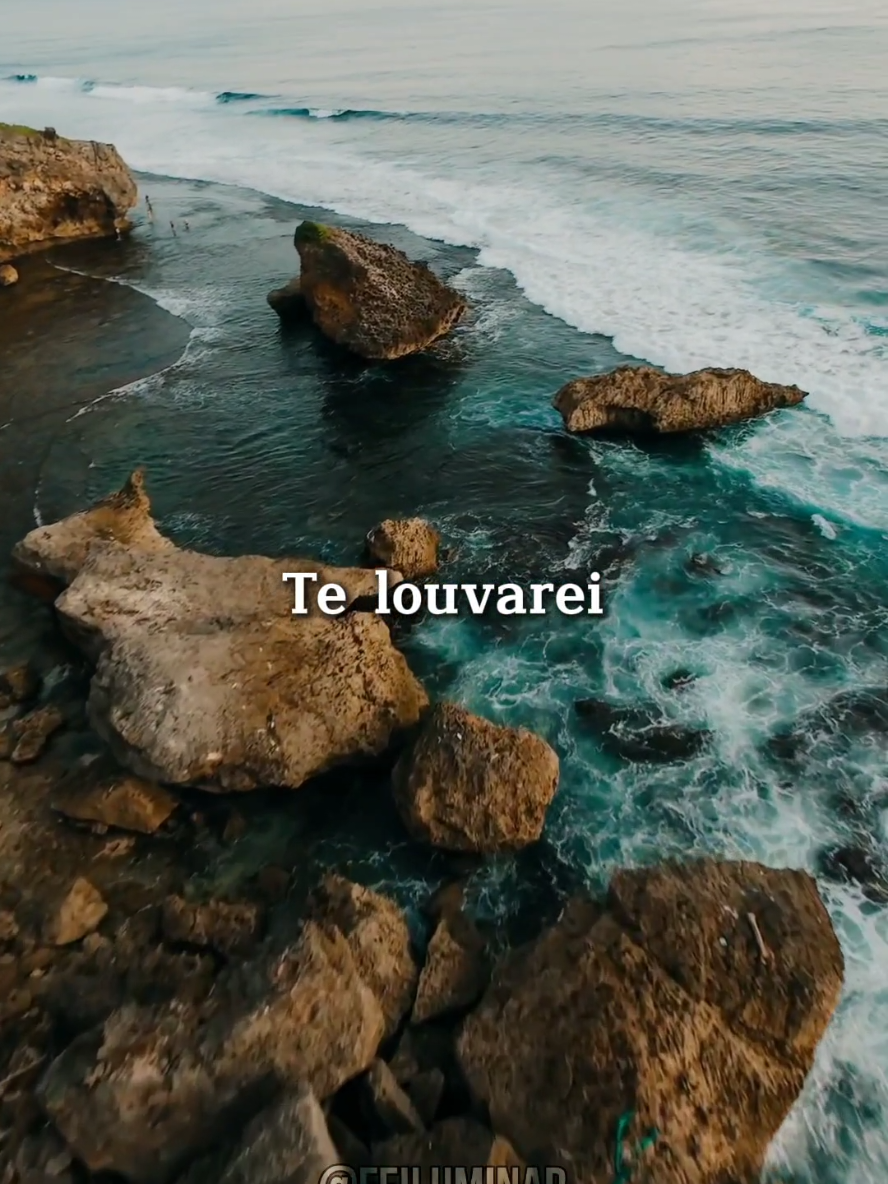 Adorarei somente a Ti Jesus 🙌🏼✝️ | Davi Sacer e Veronica Sacer - Te Louvarei #louvor #gospel #hinogospel #musicagospel #status #statusgospel #adoração #davisacer #veronicasacer #telouvarei 