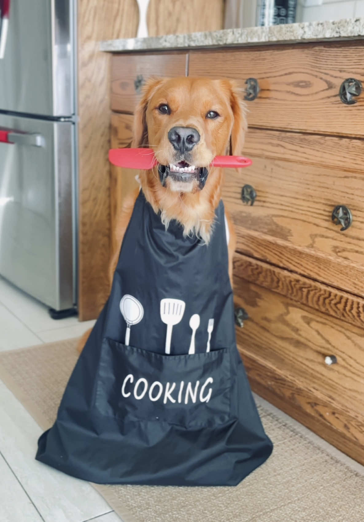 I took a nap 😴  #dogsoftiktok #goldenretriever #cutedogs #funnydogs #tookanap #relatablereels