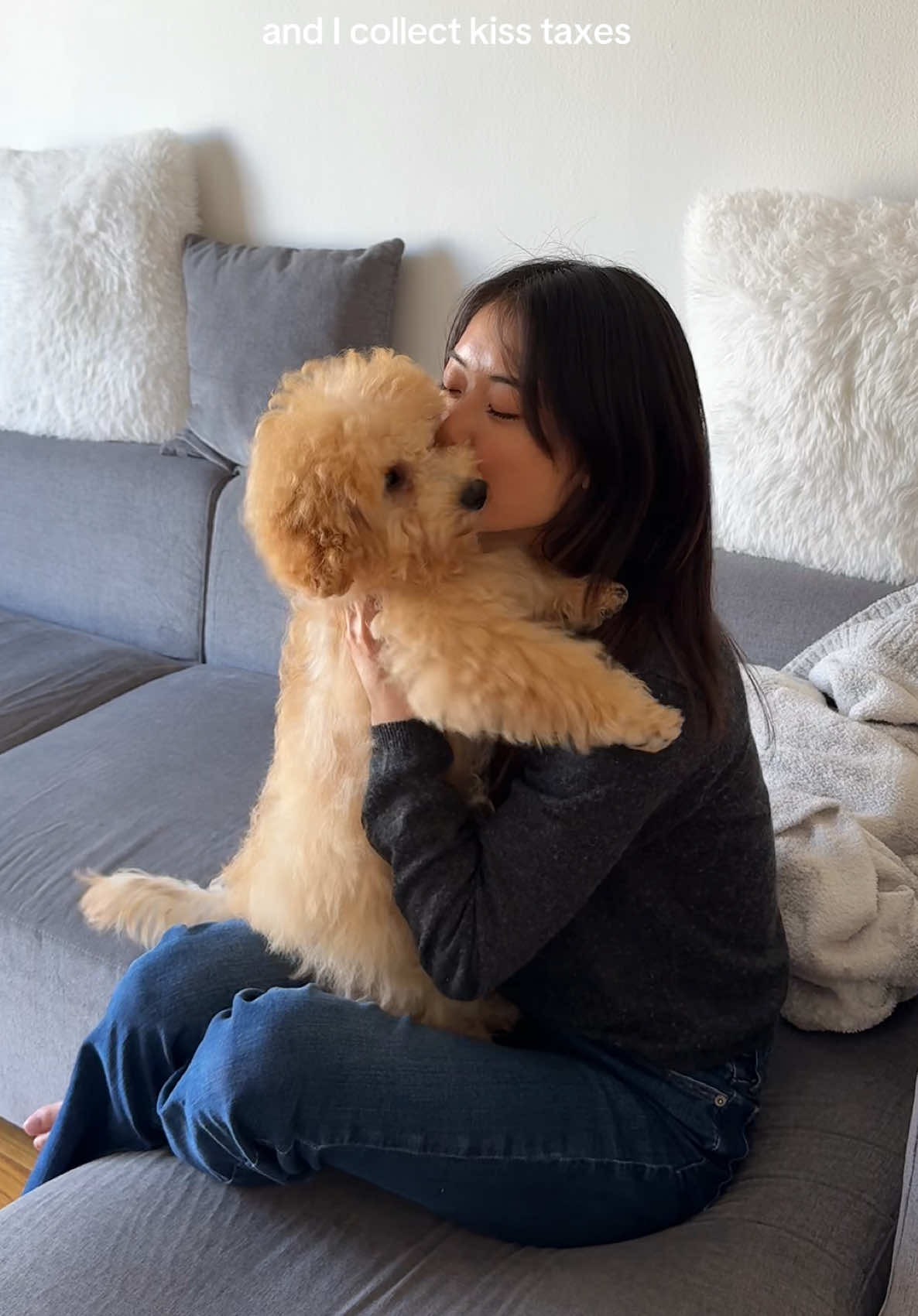 My real life teddy bear 🧸🐶Sometimes I look at Mushi and ask myself how I got so lucky 🥹 #maltipoo #puppy #dog #dogsoftiktok #fyp #mushi #pawrents #PetsOfTikTok #imobsessed #adorabledogs #cutepets #doglover #puppylove #reallifeteddybear 