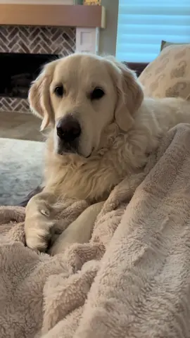 I stare my mom down while she’s eating until she gives me a bite 