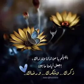 #في هذا اليوم 