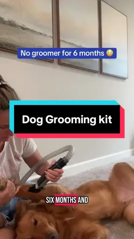 STOP wasting $$ at the dog groomer!!! #DIY #dogsoftiktok #dogmomlife #homegrooming #doggroomingkit #petgroomingtool #tiktokmademebuyit #shedfreehome #tiktokshopfinds