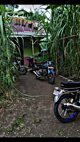 sederhana saja#pentingbarangedewe🚀 #nyenipoll  #teyengstyle #cbberkahkuli🚀 #fyp #fyp #fypシ゚viral🖤tiktok 