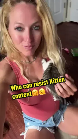 Kitten blanket🥰🤗 My Sister is fostering these sweet kittens and she named them all after only murders in the building characters. The two girls are Mabel and Sazz and the four boys are Charles, Theo, Oliver and Howard.🤗😂 #onlymurdersinthebuilding #kitten