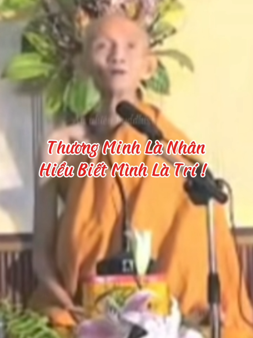 Thương mình là nhân , hiểu biết mình là trí #loiPhatday #ThichGiacKhang #thongdiepcuocsong #nhungcaunoihay #xuhuongtiktok 