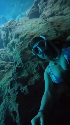 underwater wonderland 🧜🏽‍♀️ #dream #dreaming #dreamingofyou #ocean #mermaid #mermaidtail #mermaids #mermaidhair #mermaidtiktok #salt #fyp #foryoupage #following #followers #bikinibabes #oahuhawaii #oahu #girlfriend #girl #lady #women #WomenOfTikTok #womenempowerment 