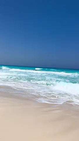 #fyp #fyppppppppppppppppppppppp #الساحل #northcoast #beach #marina #foryou #fyyyyyyyyyyyyyyyy 