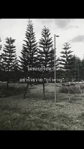 #เทรนด์วันนี้ #เอาขึ้นหน้าฟีดที #เธรด #ยืมลงสตอรี่ได้ #สตอรี่_ความรู้สึก😔🖤🥀 #เธรดด่า #tiktok #fyp #fypシ @TikTok @TikTok Thailand  cr : จากช่อง user539077843676