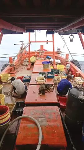 chắc đổi tên 