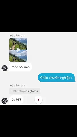 chiệu