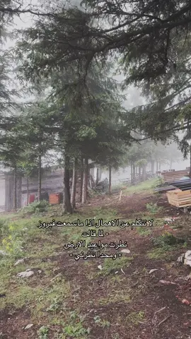 #فيروز #fyyyyyyyyyyyyyyyy #اكسبلور 