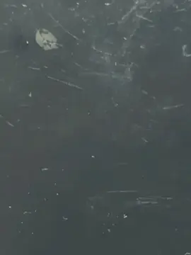 OPPO GRUP#oppoa5pro5g  #opporeno13f5g#oppoa18 