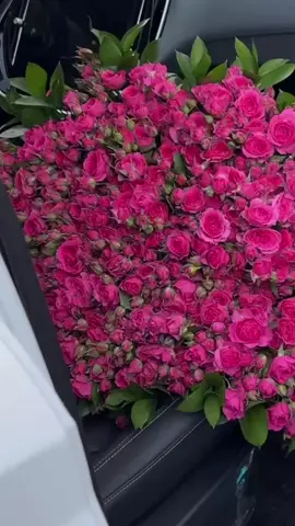 #صباحكم_سعادهـ🌸🍃 