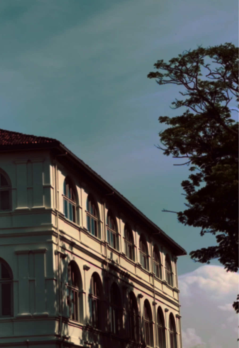 ❤️‍🩹❗️ #haridu #backgroundvideo #sky #clouds #evening #haridubacakroundvideo #building 