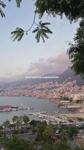 long live the levant. long live the middle east. #syria #lebanon #palestine 