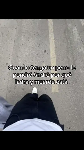 #andre #zxycba #contenido #fyp #perro 