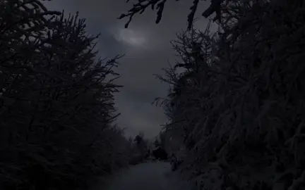 red crystal castles #crystalcastles #lyric #song #fyp #fypシ゚ #alt #font #brat #crystalcastlesedit 