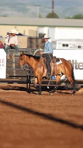 What’s your favorite horse color?? 😍 #ropingdummiestexas - Video: @BB Performance Horses  #rodeo #texas #cowboy #horses #ranch #roping #teamroping #heelhorse #headhorse #ranchhorse #ropehorse #aqha #quarterhorse 