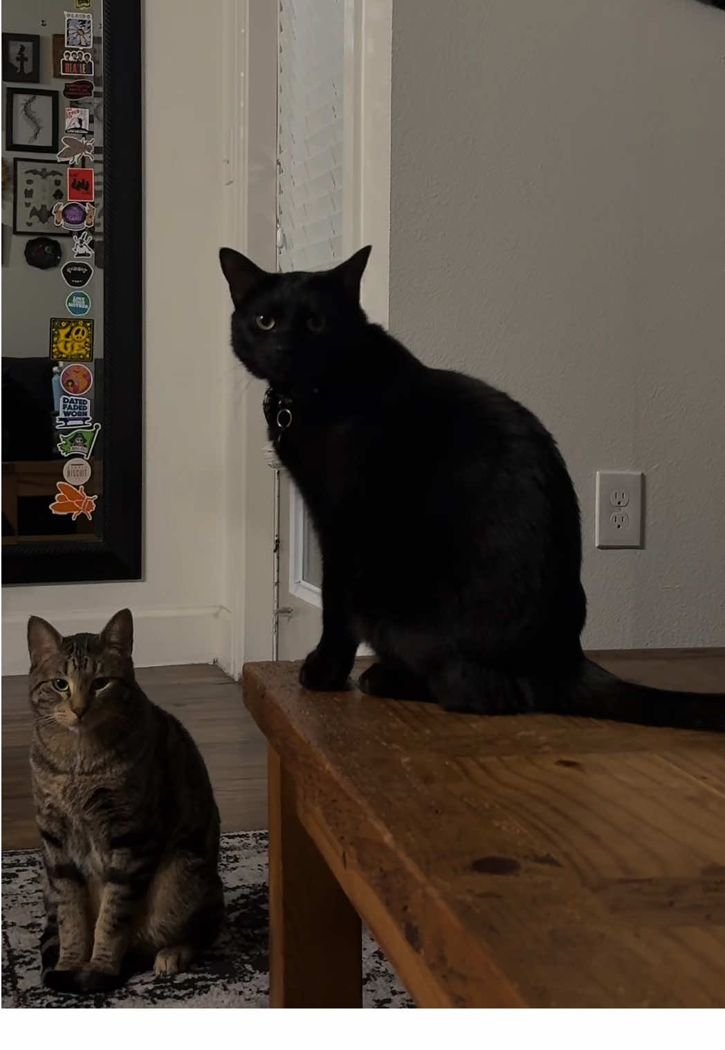 i love my boys