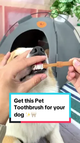 Get this Pet Toothbrush for your dog ✨🦷
