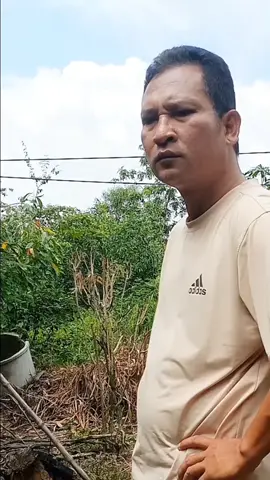 #เทรนด์อันดับ1วันนี้ #คลิปฮา #ขำขัน #funny 