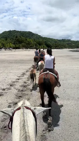 Hidden gem in Costa Rica 🏝️🐴 #costarica #horsebackriding #beach #privatebeach #ocean