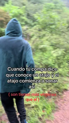 🧙🏻‍♂️#nature #fyp #senderismo #mexicotiktok #paratiiiiiiiiiiiiiiiiiiiiiiiiiiiiiii 