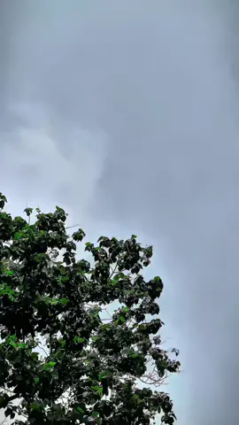 যতো দিন যায় আমি তত তোমার ভালবাসায় ডুবে যায় ....!!! 🫣🫀☺️💌  mention my...@•𝐉𝐮𝐣𝐮 𝐠𝐢𝐫𝐥💥🖤  #foryou #unfrezzmyaccount #newviralvideo #tamim49 