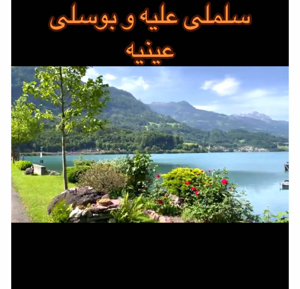 فيروز. : سلم لى عليه#فيروز #فيروزيات #فيروزيات_الصباح #نغم_أصيل #نغم #طرب #طربيات_الزمن_الجميل #لبنان🇱🇧 #lebanon #مصر🇪🇬 #egypt #العراق #سوريا #مصر_السعوديه_العراق_فلسطين #germany🇩🇪 #germany #france #sweden #italy #netherlands #turkey🇹🇷 #explore #viralvideos #اكسبلور 