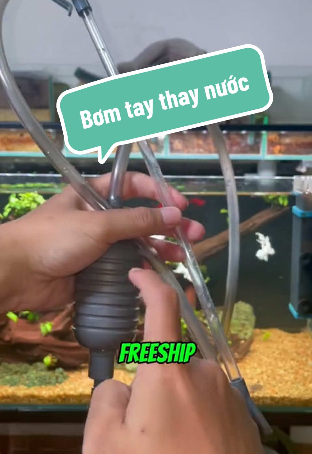Bơm tay thay nước hồ cá #thaynuocbeca #nuoicacanh #thuysinh 