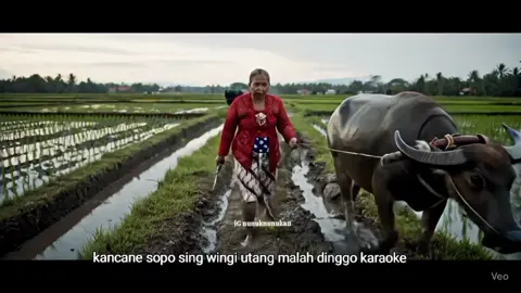 Kata-kata Simbah Wedok🤣🤣🤣.