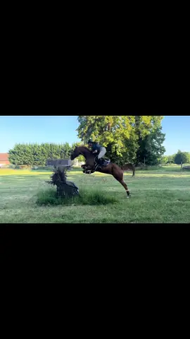 Entraînement Cross du 11/06🐴 #pourtoi #foryou #cheval #viral #equestrian #cavalier #trotteurfrancais #horse #crosscountry #entrainement #trotteur 