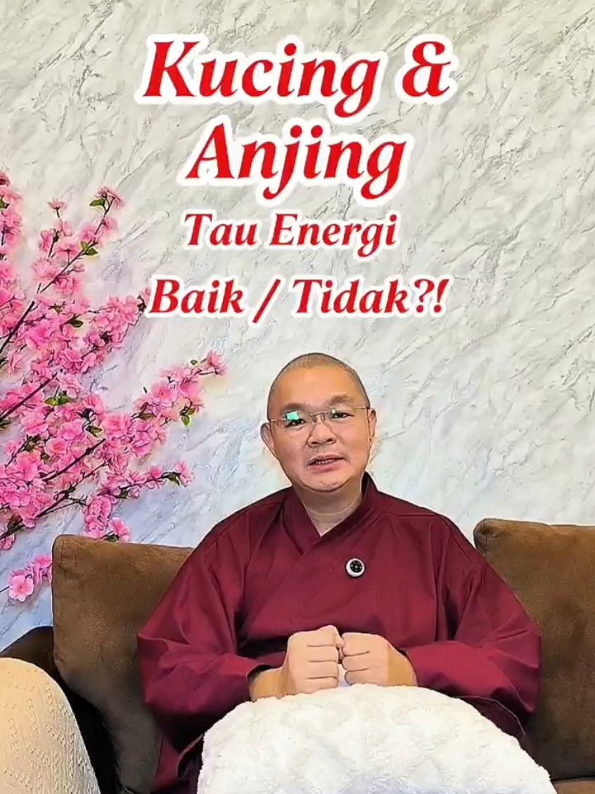 Kucing & Anjing Tau Energimu‼️