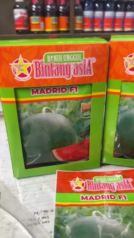 Exp panjang #benihsemangkamadridf1 #bertanidanbercocoktanam #ghaniagrojaya #tokopertanian 